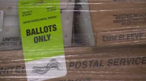 Palm Beach County Voters Prepare For Primary Election