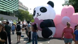 Panda Fest Brings Asian Street Food To Downtown Dc