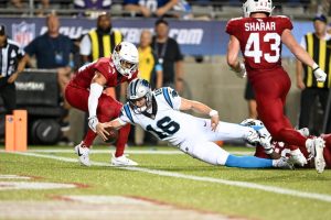 Panthers Cardinals Preseason Game