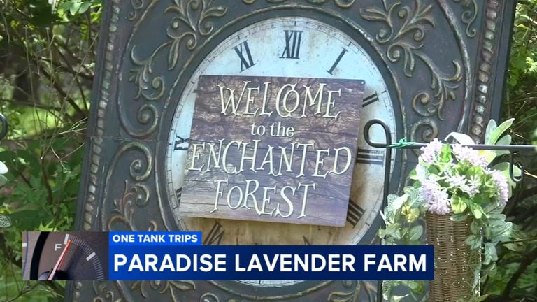 Paradise Lavender Farm Opens Enchanted Fairy Forest In Cresco Pennsylvania