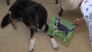 Pasadena Humane S Facebook Post Reunites Family With Late Dog S Littermate