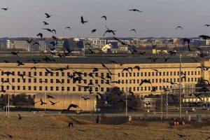 Pentagon Terminates Stars And Stripes Editor And Publisher Over Editorial Disput