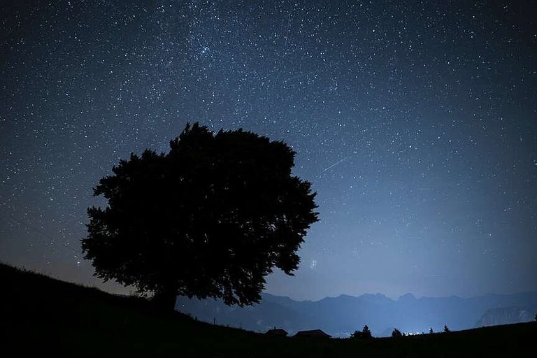 Perseid Meteor Shower Peaks This Week