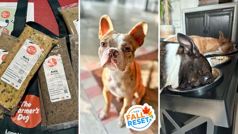 Personalized Dog Food