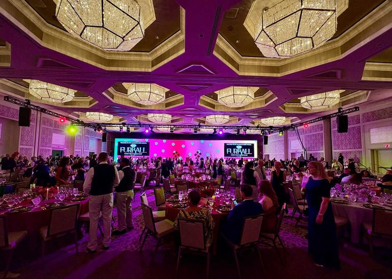 Pet Alliance Hosts Furball Gala