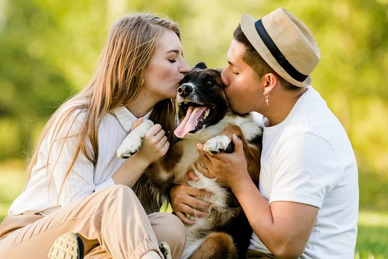 Pets Considered Family