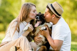 Pets Considered Family