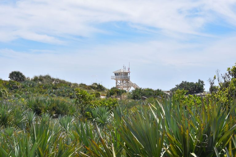 Hawk's Point Coastal Trail at Savannas Preserve State Park — Port St. Lucie