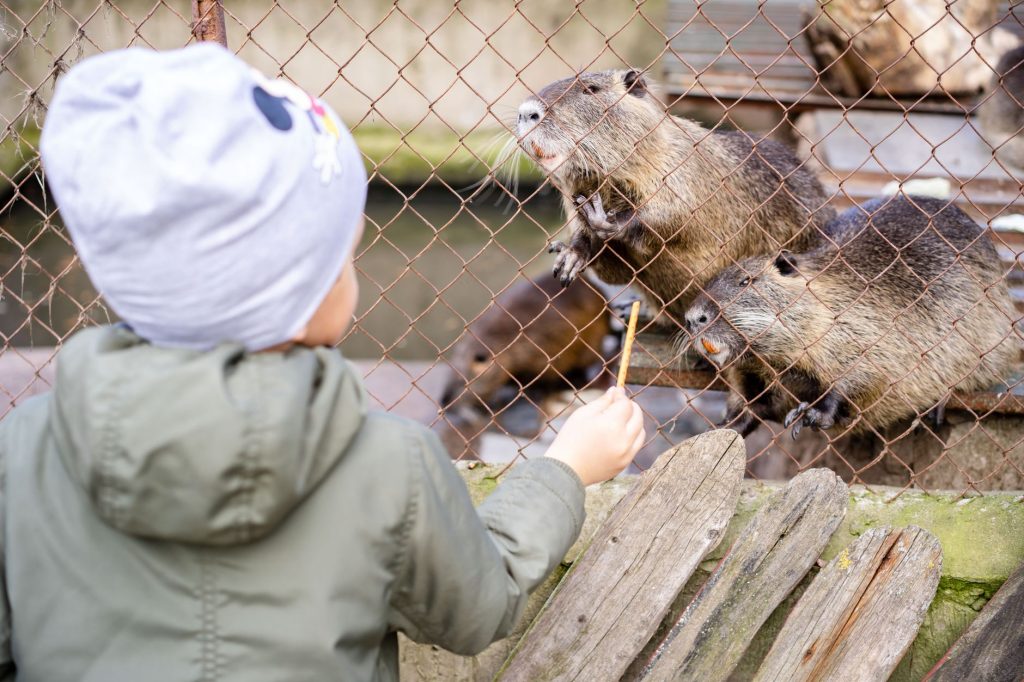 Buckner's Wildlife Encounter — Fort Wayne