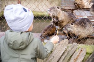 Buckner's Wildlife Encounter — Fort Wayne