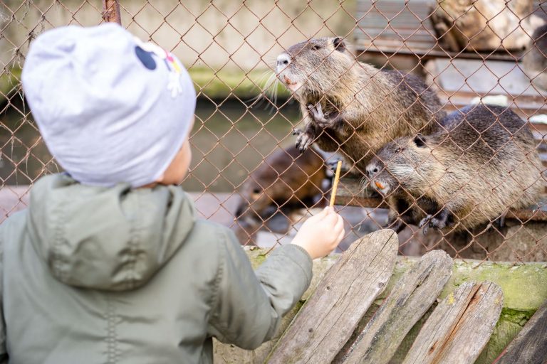 Buckner's Wildlife Encounter — Fort Wayne