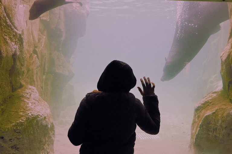 Omaha's Henry Doorly Zoo & Aquarium — Desert Dome & Lied Jungle — Omaha