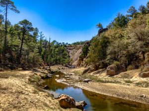 Dolores River Brewery — Durango