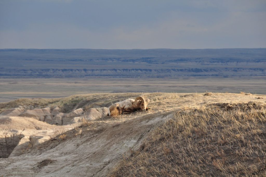 Badlands National Park (via Rapid City) — Rapid City