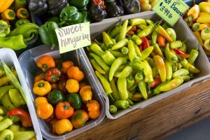 Fox River Mall Area Farmers Market & Specialty Stops — specifically, the Downtown Appleton Farmers Market — Appleton
