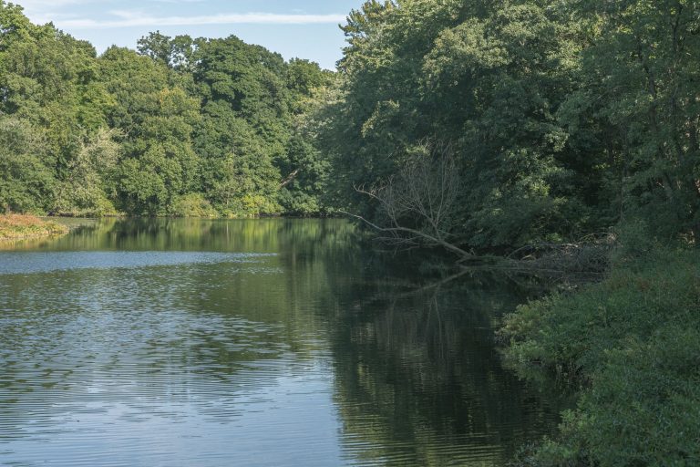 Marilla Park and Reservoir Trail System — Bradford