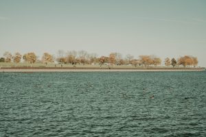 Braddock Park at Lake Lavon — Wylie