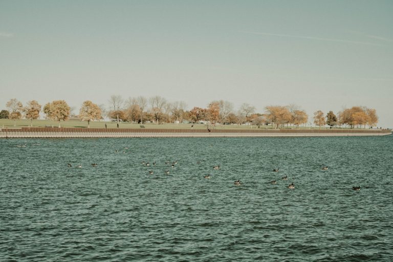 Braddock Park at Lake Lavon — Wylie