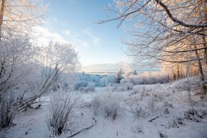 Hillside Ski Area (Anchorage Park Foundation / Municipality of Anchorage) — Anchorage