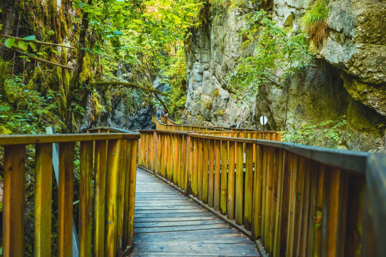 Deadhorse Canyon Trail — Renton