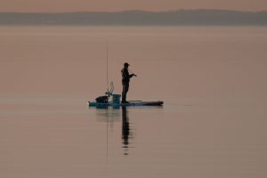 Veterans Park Stand-Up Paddleboarding (Harbor Point, Stamford) — Stamford
