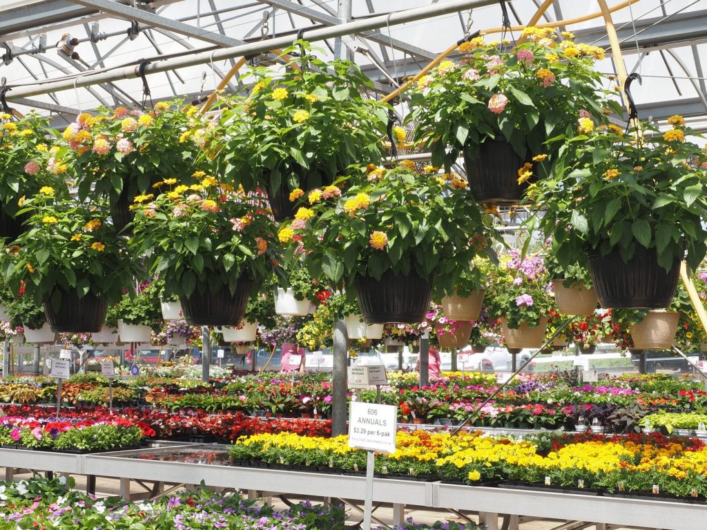 Hafer's Greenhouse & Winery — Evansville