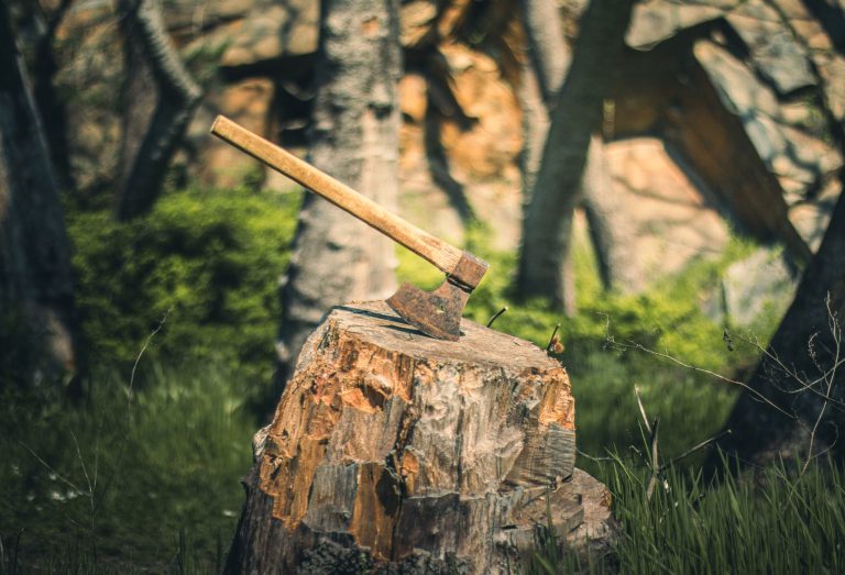 Stumpy's Hatchet House Tyler — Tyler