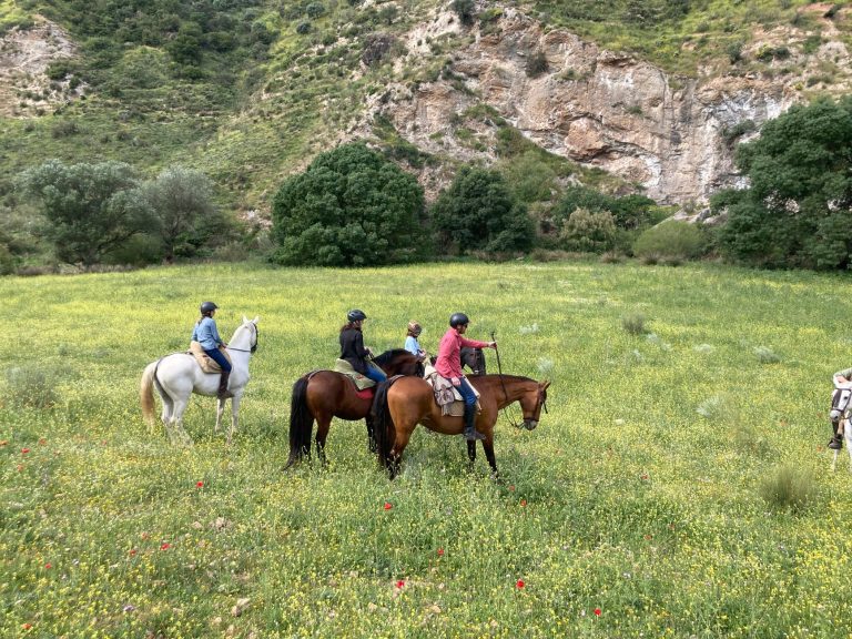 Conejo Valley Trail Riders at Chesebro / Palo Comado Open Space — Thousand Oaks
