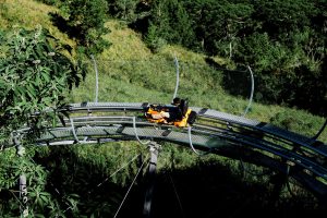 Durango Mountain Coaster at Purgatory Resort — Durango