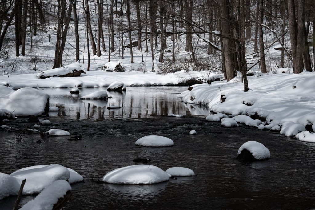 Mianus River Gorge Preserve — Stamford