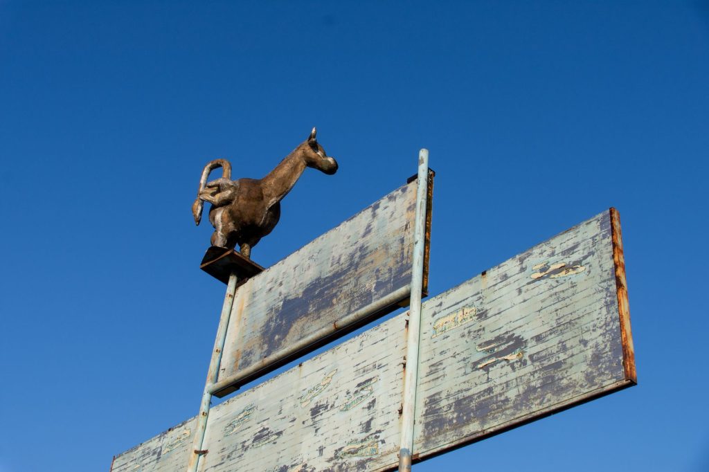 Texas Tech University Ranching Heritage Center Sculpture Trail — Lubbock