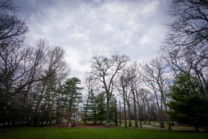 Bayard Cutting Arboretum — Brookhaven