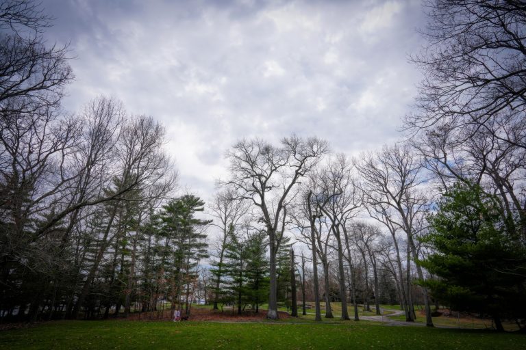 Bayard Cutting Arboretum — Brookhaven