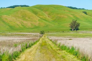 McCullough Hills Trail — Enterprise