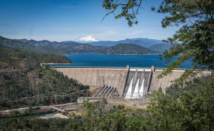 Skunk Point Cove — Lake Shasta — Redding