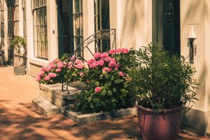 Harold Kaminski House Museum Annex & Joseph Rainey House — Georgetown
