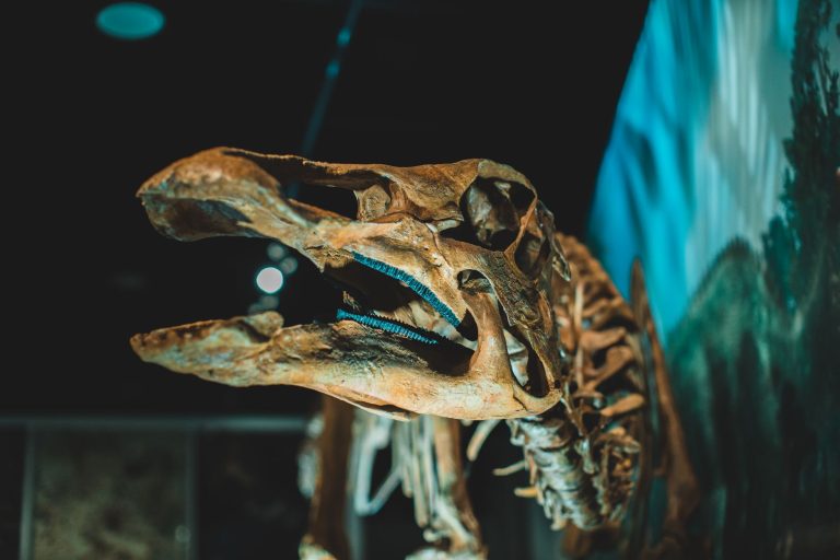 Fossil Ridge at the Toledo Zoo & Aquarium — Toledo