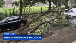 Philadelphia Faces Years Long Backlog In Tree Maintenance
