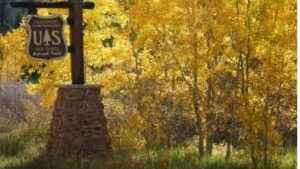 Pike San Isabel National Forests Enter Stage One Fire Restrictions
