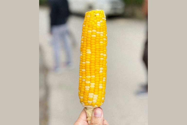 Plainview S Corn On The Cob Days Returns