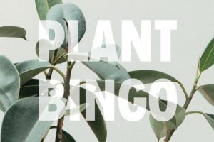 Plant Bingo Night At Bearded Monkey Rockwall