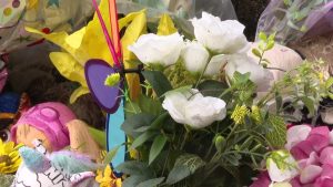 Plant City Family Shooting Update