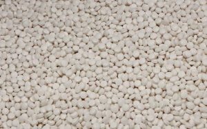 Polish Drugmaker Celon Pharma Reports Generic Semaglutide Matches Ozempic In Ear