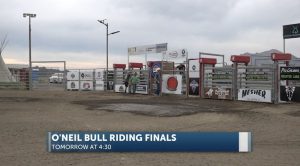 Pro Caliber Bull Riding Series Finals Return To O Neil Arena Near Redmond
