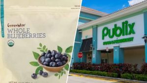 Publix Expands Recall Of Greenwise Frozen Berries Over Possible E Coli Contamina