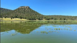 Quemado Lake Closed Due To Toxic Algae