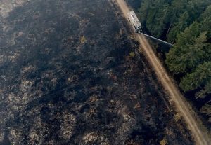 Rainfall Aids Firefighters In Belgium Wildfire