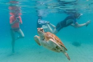 Record Ocean Temperatures Signal Growing Climate Strain Nationwide
