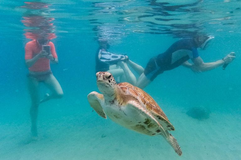 Record Ocean Temperatures Signal Growing Climate Strain Nationwide