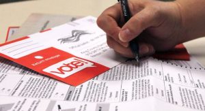 Renton Primary Election Results